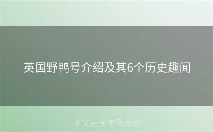 英国野鸭号介绍及其6个历史趣闻 英国野鸭号介绍及其6个历史趣闻